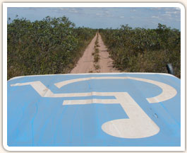 Um carro com s�mbolo de acessibilidade no teto em uma estrada de terra com muitas �rvores em ambos lados.