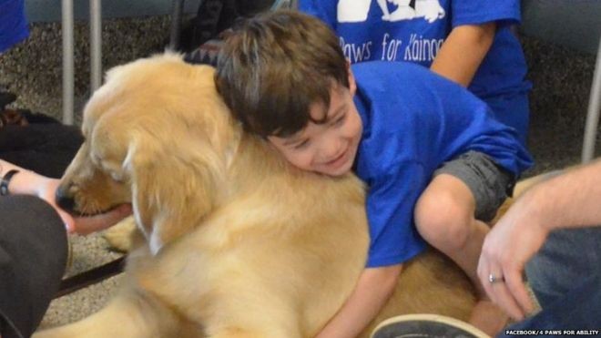 Menino com autismo que não pode ser tocado faz 'amizade instantânea' com cão terapeuta