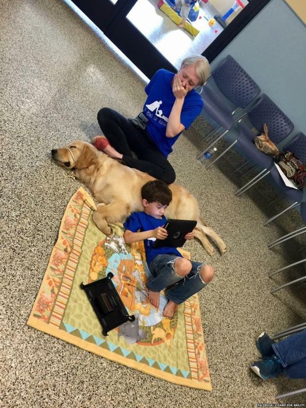 Menino com autismo que não pode ser tocado faz 'amizade instantânea' com cão terapeuta